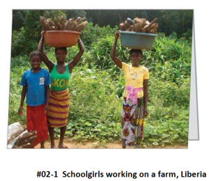 Screen Shot 2016-03-19 at 1.21.30 PM